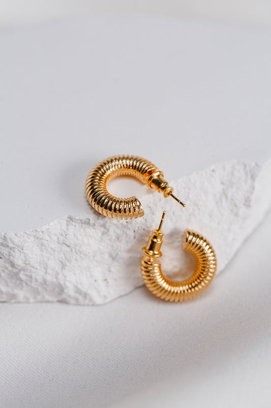 Spiral shape earrings